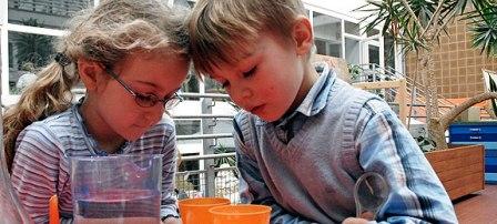 Neugier der Kinder fördern